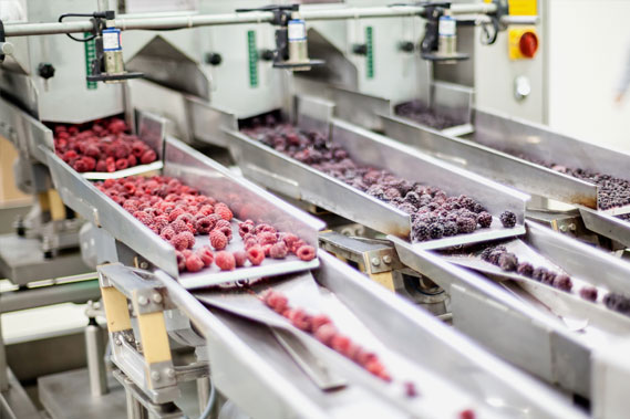 Fruit Processing