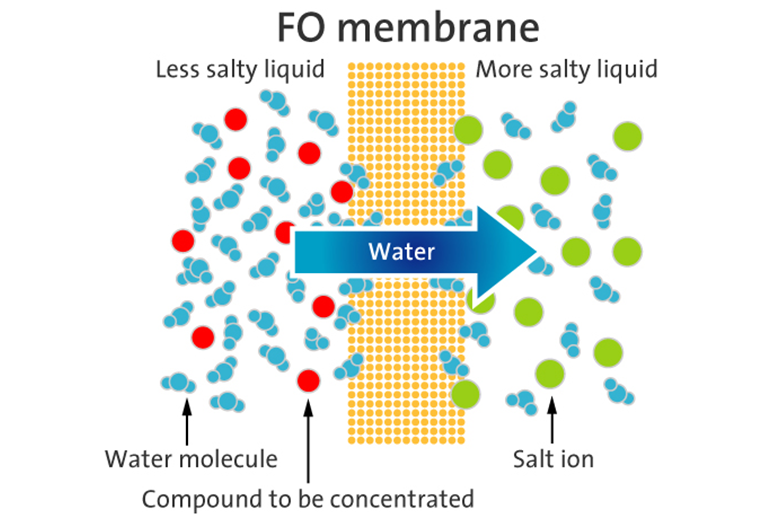 Forward Osmosis process