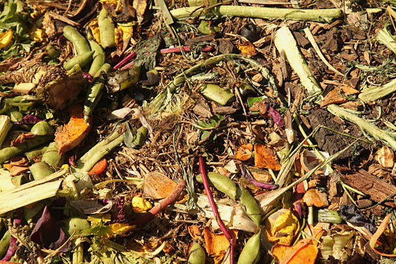 Compost