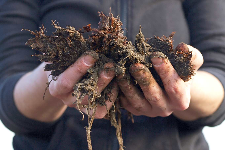 Manure treatment