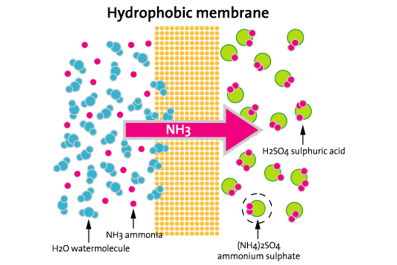 Ammoniak-Membranstripping