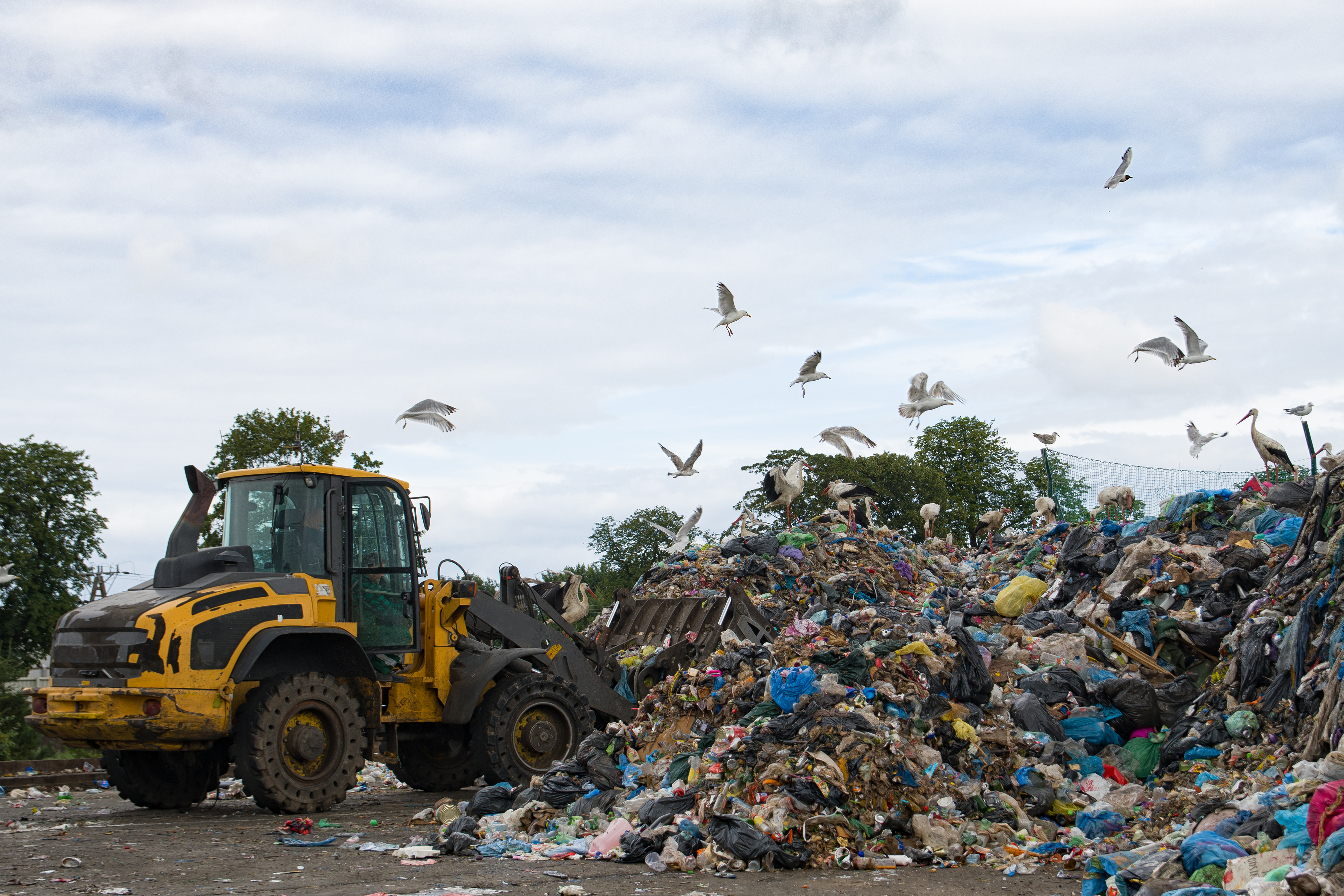 Kommunale Feststoffabfälle