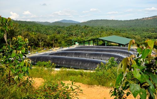 Anaerobic Organised Pond Reactor (AOPR)